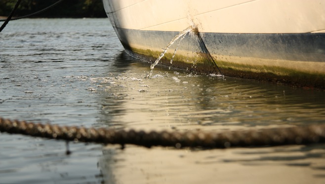 Bilge Water